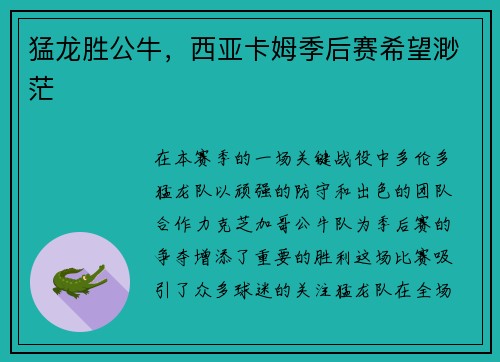 猛龙胜公牛，西亚卡姆季后赛希望渺茫
